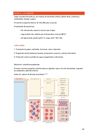 Fisio-tema-3.pdf