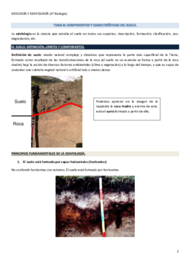 08. El suelo- componentes y características..pdf