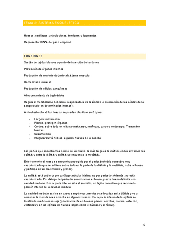 Tema-2-anatomia.pdf