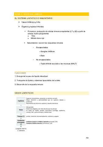 Tema-4-anatomia.pdf