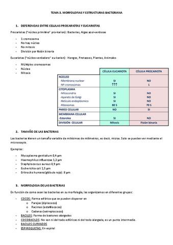 TEMA-3-MICRO.pdf