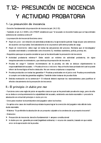 T.12-PRESUNCION-DE-INOCENCIA-Y-ACTIVIDAD-PROBATORIA.pdf