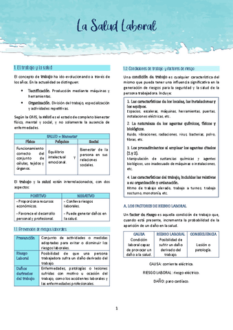 T13. La Salud Laboral.pdf
