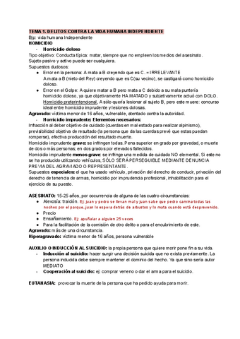 DERECHO-PENAL-II-COMPLETO.pdf