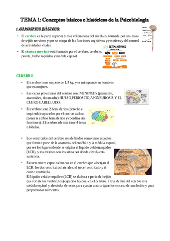 TEMA-1- FUNDAMENTOS DE PSICOBIOLOGIA-COMPLETO-CON-LECTURA.pdf