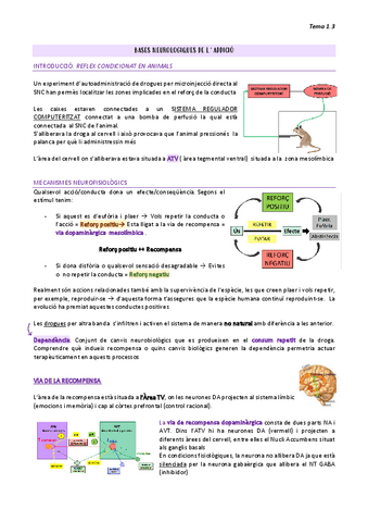 1.3-BASES-NEUROBIOLOGIQUES.pdf
