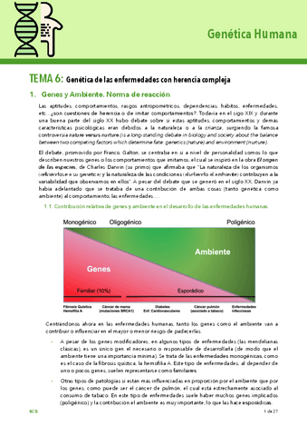 Tema-6.pdf