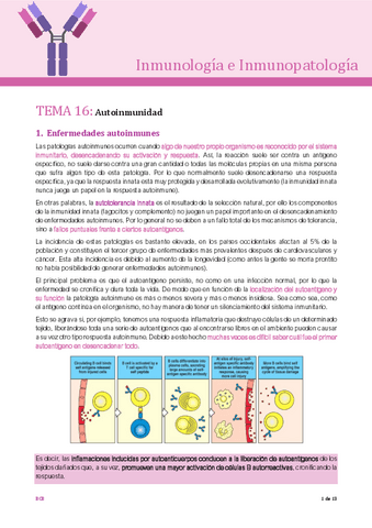 Tema-16.pdf