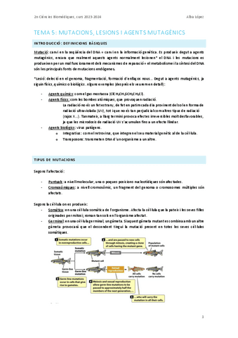 Tema-5.-Mutacions-lesions-i-agents-mutagenics.pdf