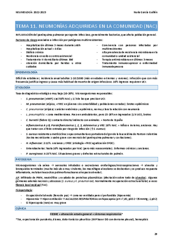 RESUMEN-NEUMO-T11.pdf
