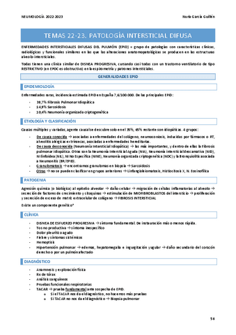RESUMEN-NEUMO-T22-24.pdf