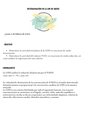 LDH.pdf