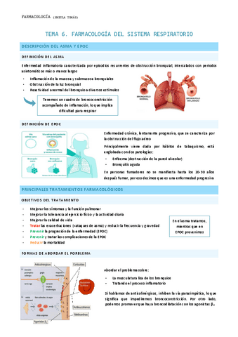 Tema-6.-Farmacologia-del-sistema-respiratorio.pdf
