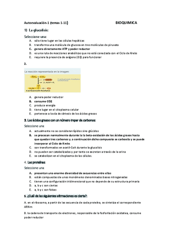 Autoevaluacion-t1-11.pdf