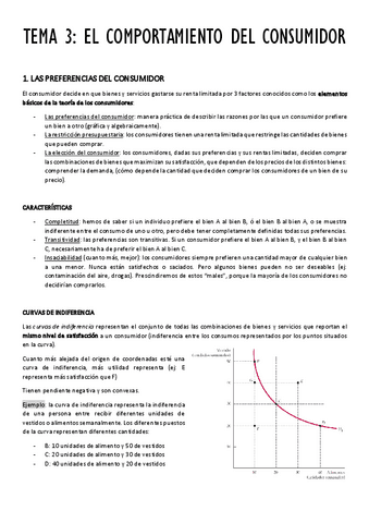 TEMA-3.pdf