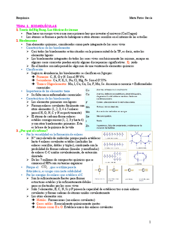 Bioquimica-Temario-Unido.pdf