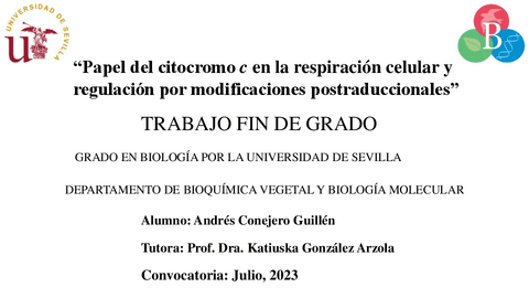 Presentacion-TFG-Andres-Conejero-Guillen.pdf