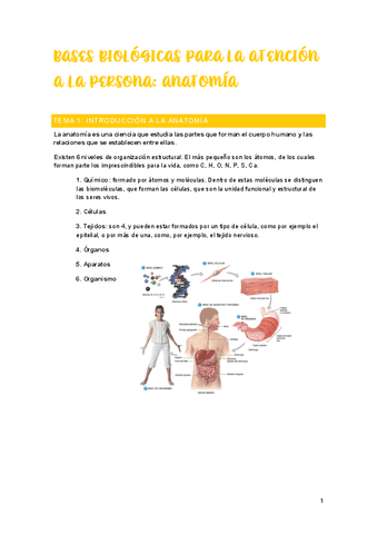 Tema-1-anatomia.pdf