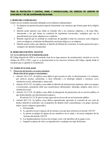 Capitulo-12-Hecho-religioso-y-Derecho-Proteccion-y-control-penal.pdf