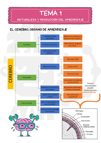 Esquema-Tema-1.pdf