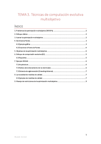 TEMA 3.-Tecnicas-de-computacion-evolutiva-multiobjetivo.pdf