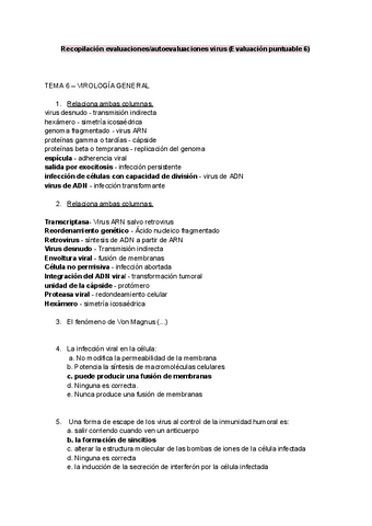 Recopilacion-preguntas-Virus-Ev6.pdf