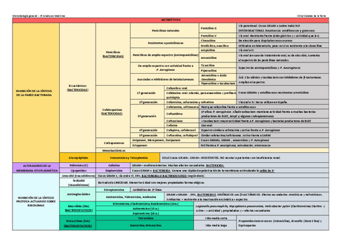 Tabla-ANTIBIOTICOS.pdf