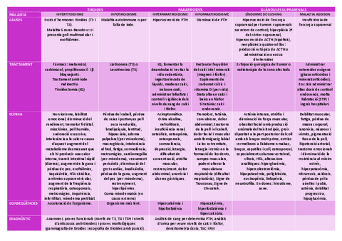 Taules-resum-endocrino-i-neuro.pdf