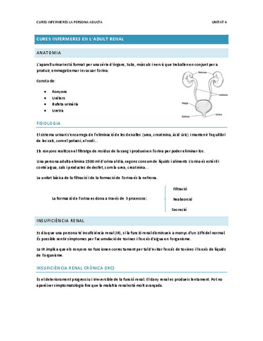 Cures-Adult-Unitat-4.pdf