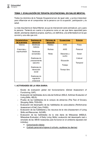 T1-EVALUACION-DE-TO-EN-SALUD-MENTAL.pdf
