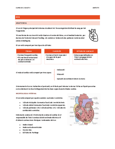 Curers-Adult-II-Unitat-5.-ECG.pdf