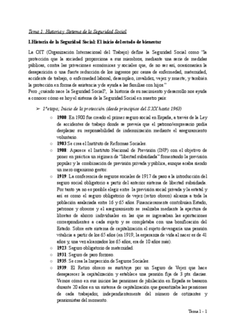 Tema-1-DSS.pdf