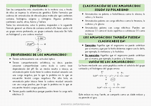 Proteinas-y-aminoacidos.pdf