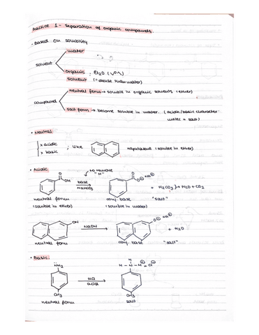 lab-notebook.pdf