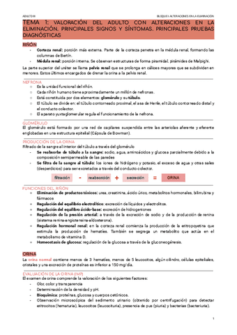 TODO-ADULTO-III.pdf