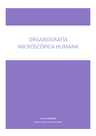 Apuntes-completos-organografia.pdf