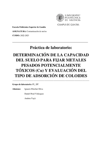 P2PeralFletcherVaya.pdf