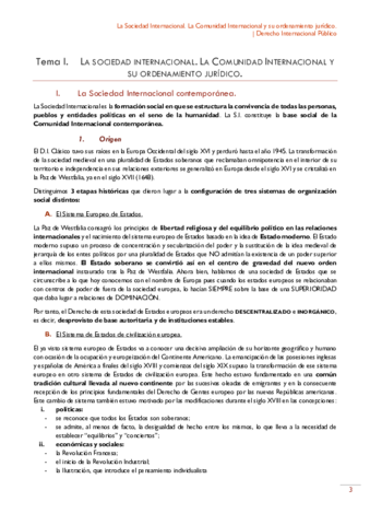 01 - DIP - La Sociedad Internacional.pdf