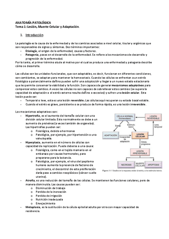 Tema-1-Lesion-Muerte-y-Adaptacion-Celular.pdf
