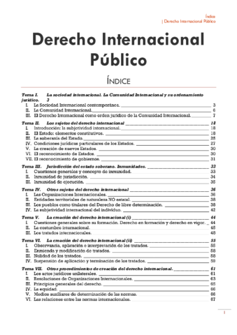 Derecho Internacional Público.pdf