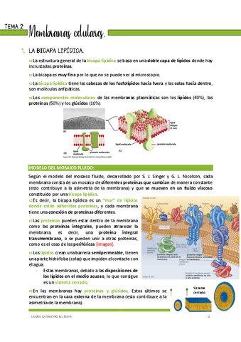 Tema-2-Membranas-celulares-pdf.pdf
