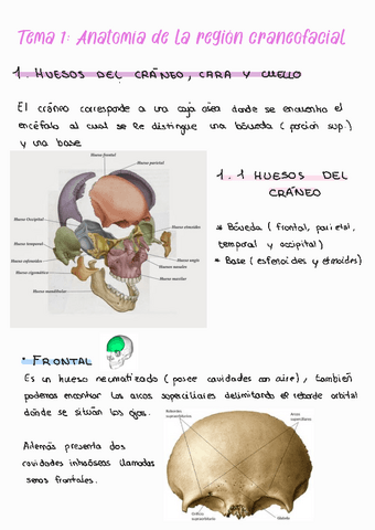 Huesos-de-la-region-craneofacial.pdf