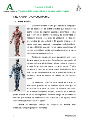 Tema-7-El-sistema-cardio-respiratorio.pdf