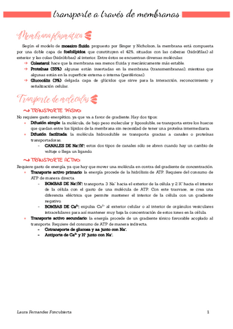 Apuntes fisiología.pdf