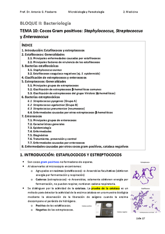 TEMA-10.-Cocos-Gram-positivos.-Staphylococcus-y-Streptococcus.pdf