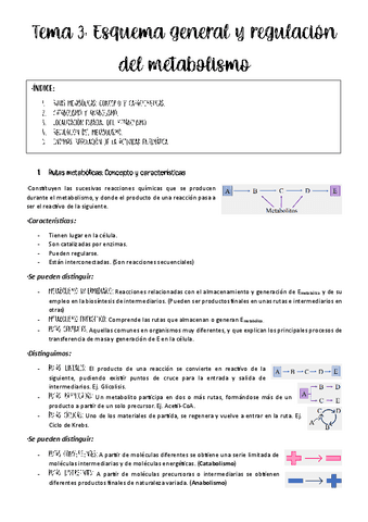 Tema-3-metabolismo.pdf