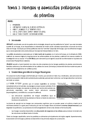 Tema-3-patologia.pdf