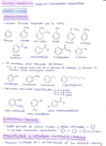 Apuntes-Quimica-Organica-2022-2023-Parte-Pilar-tema-6.pdf