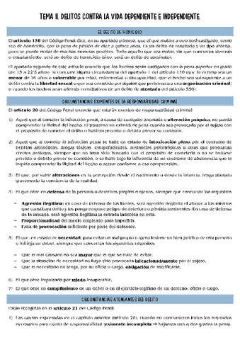 derecho-penal-T2.pdf