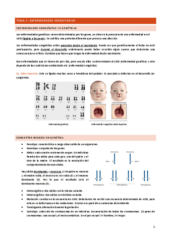 Tema-5.pdf